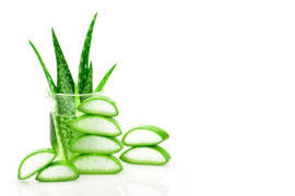 Aloe vera Benefits