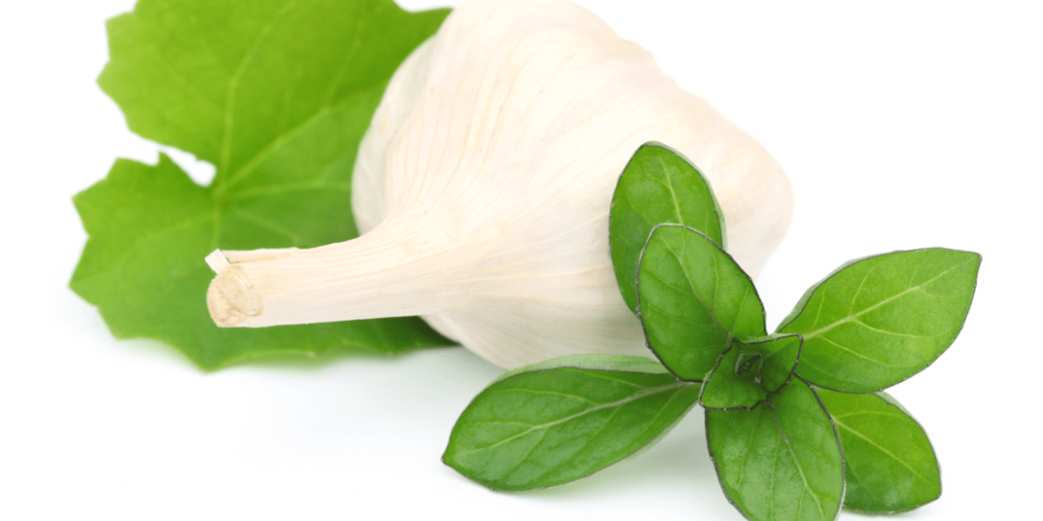 What are Brahmi Benefits for Hair Growth?