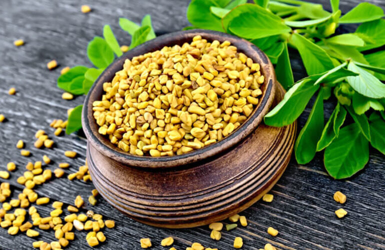 fenugreek