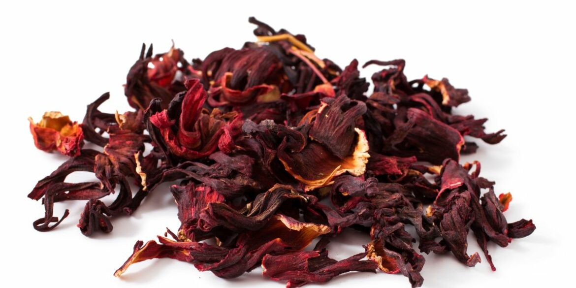 Hibiscus Benefits for Hair Growth